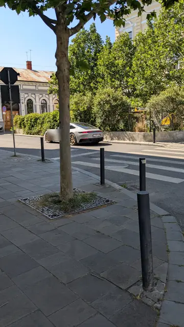 A tree-lined corner with bollards and a parked sports car.